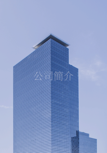 公司簡介